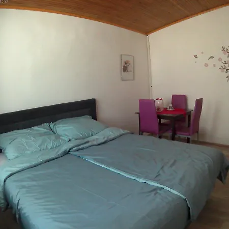 Davinci Guest house